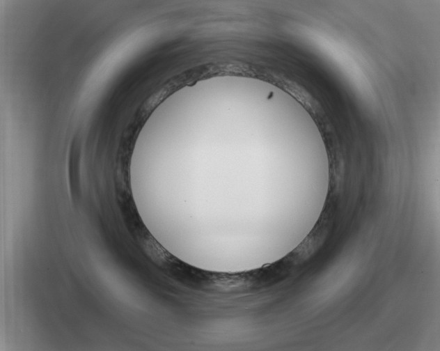 X0000112070189201007221014