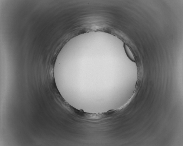 X0000112070191201007221014