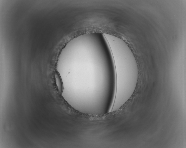 X0000112070192201007221014