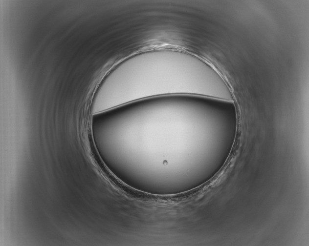 X0000112070193201007221013