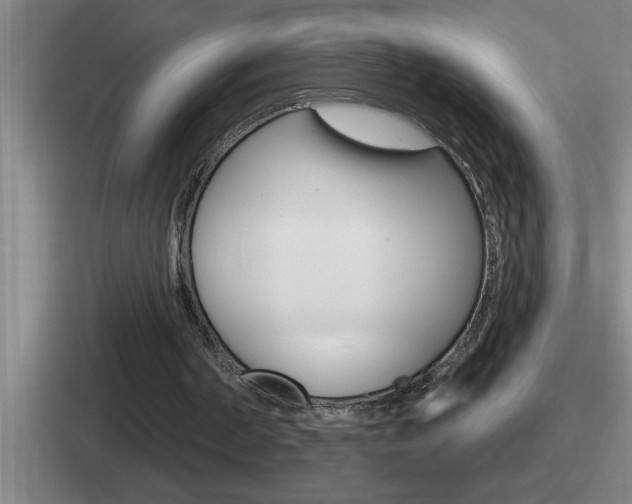 X0000112070194201007221013