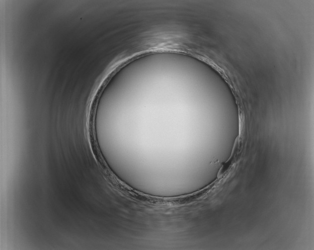 X0000112070195201007221013