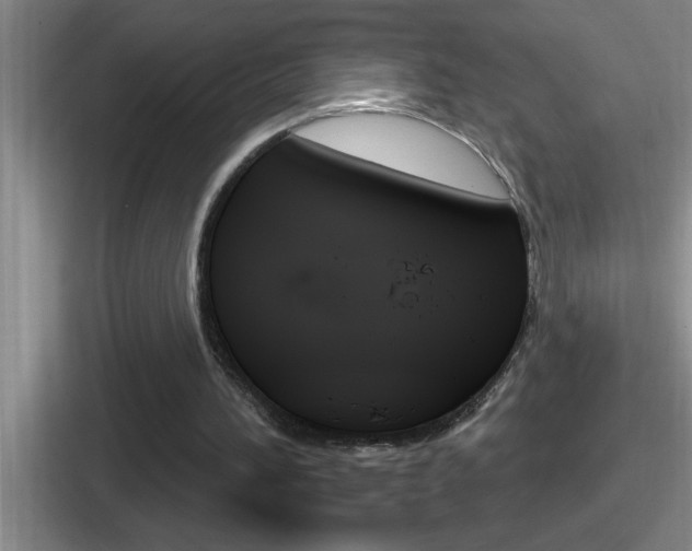 X0000112070196201007221013