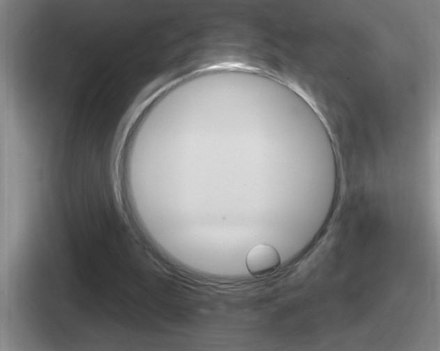 X0000112070199201007221013