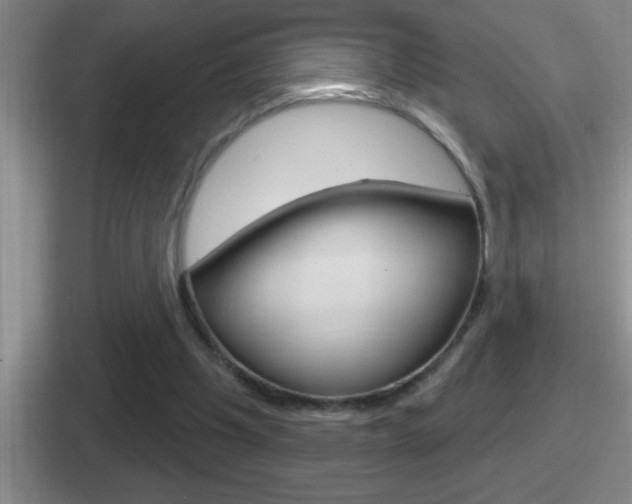 X0000112070201201007221013
