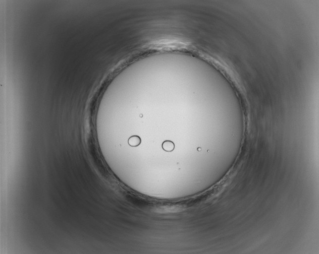 X0000112070202201007221013