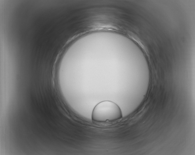 X0000112070203201007221013