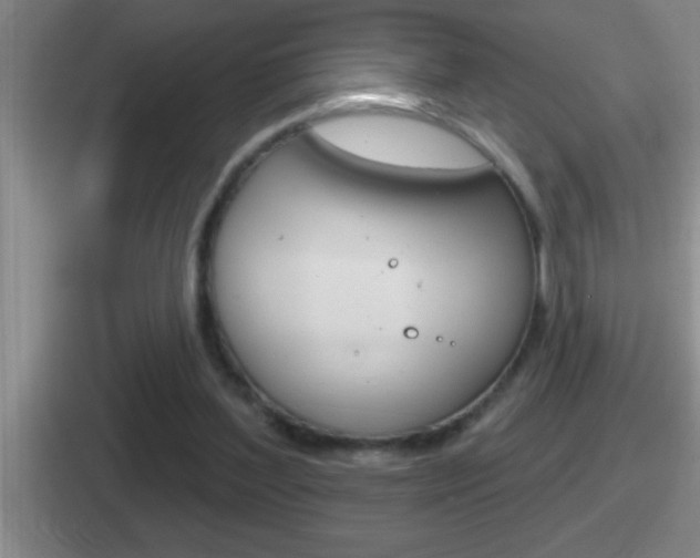 X0000112070204201007221013
