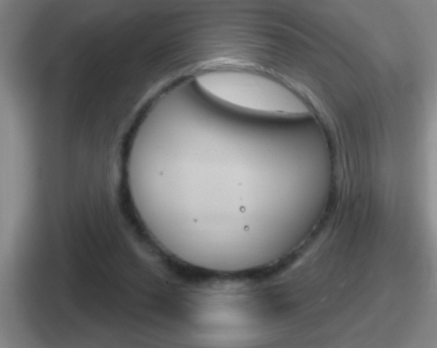 X0000112070208201007221013