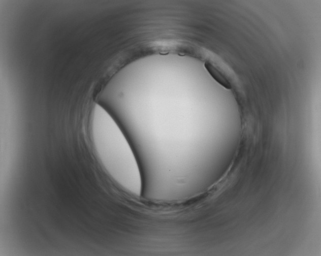 X0000112070209201007221013