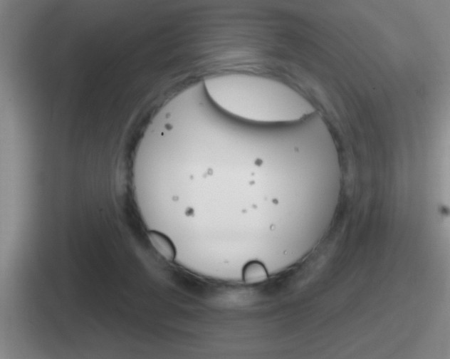 X0000112070210201007221013