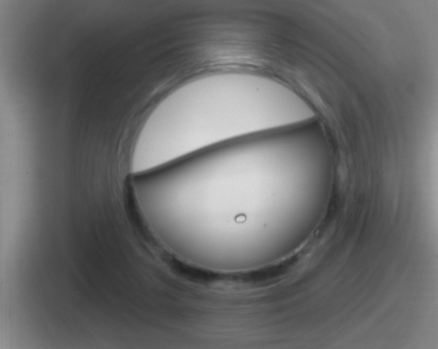 X0000112070211201007221013
