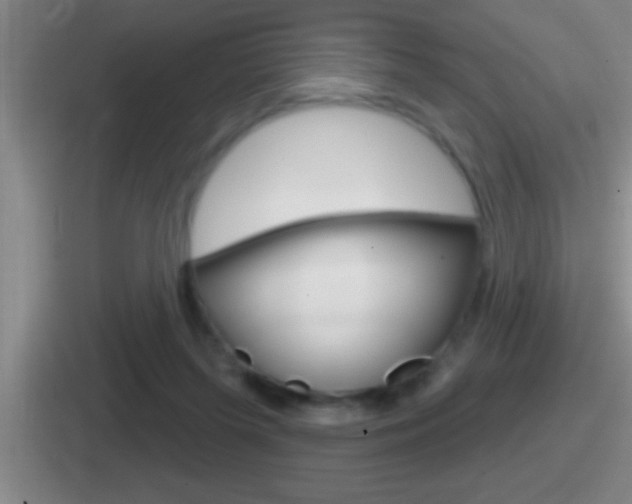 X0000112070215201007221013