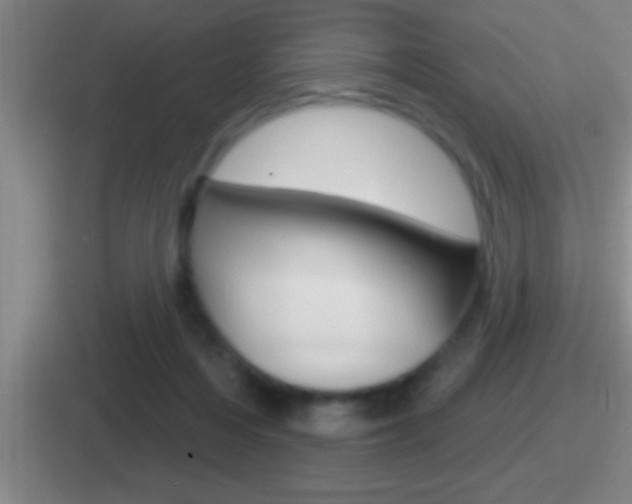 X0000112070216201007221013