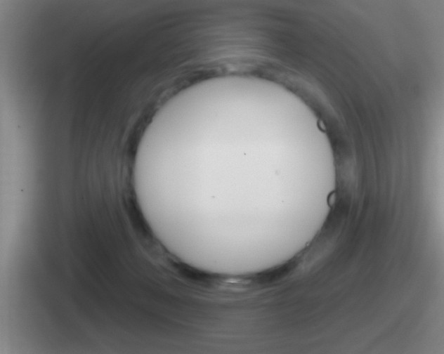 X0000112070222201007221013