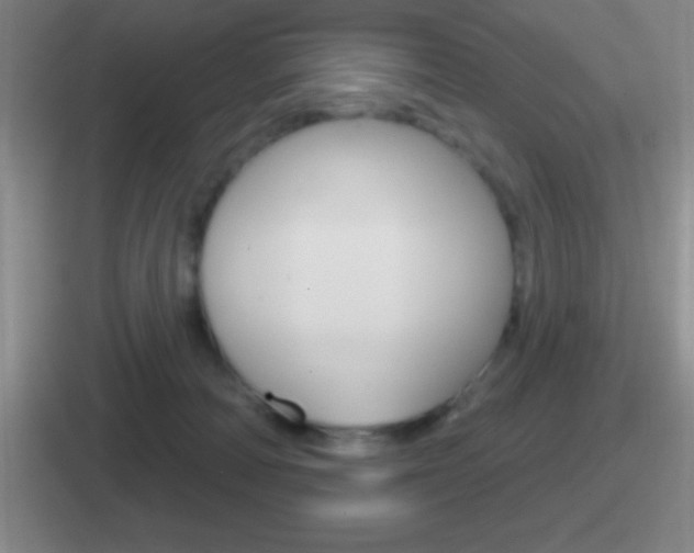 X0000112070226201007221013
