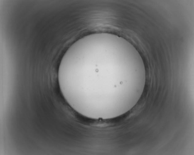 X0000112070228201007221013