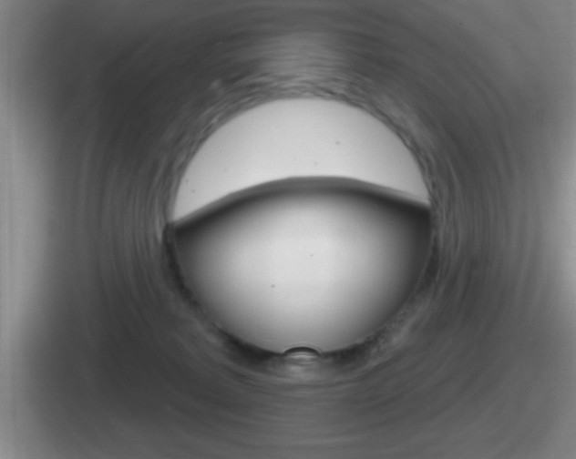 X0000112070229201007221013