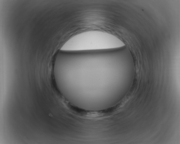 X0000112070231201007221013