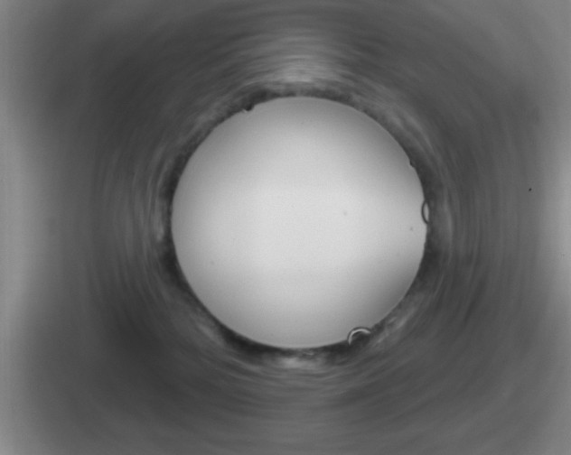 X0000112070232201007221013