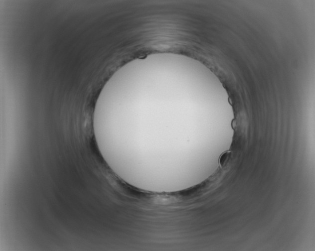 X0000112070234201007221013