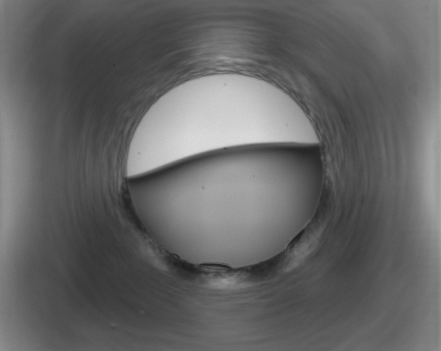 X0000112070235201007221013