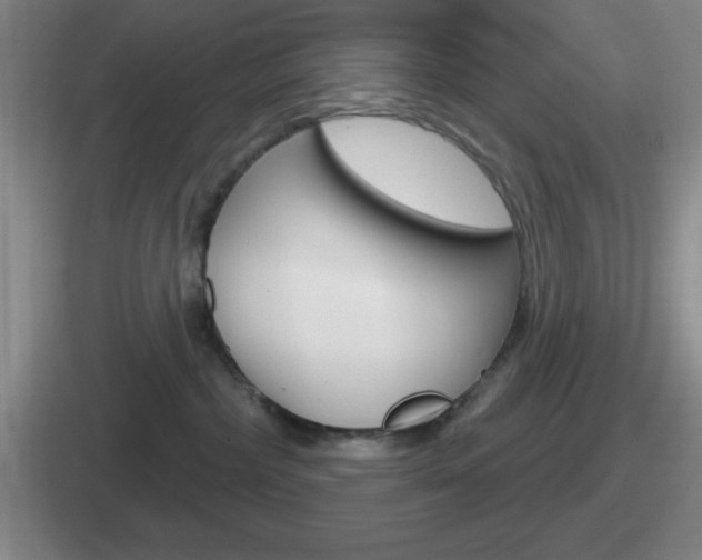 X0000112070236201007221013