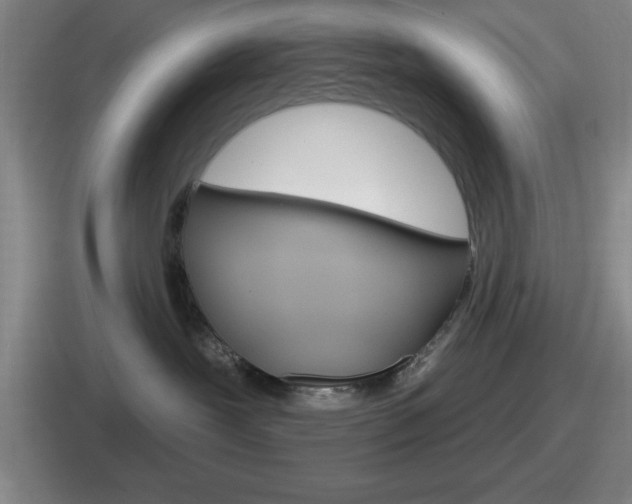X0000112070239201007221013