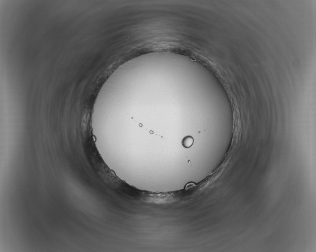 X0000112070240201007221013