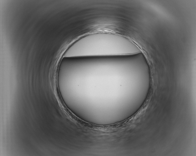 X0000112070241201007221012