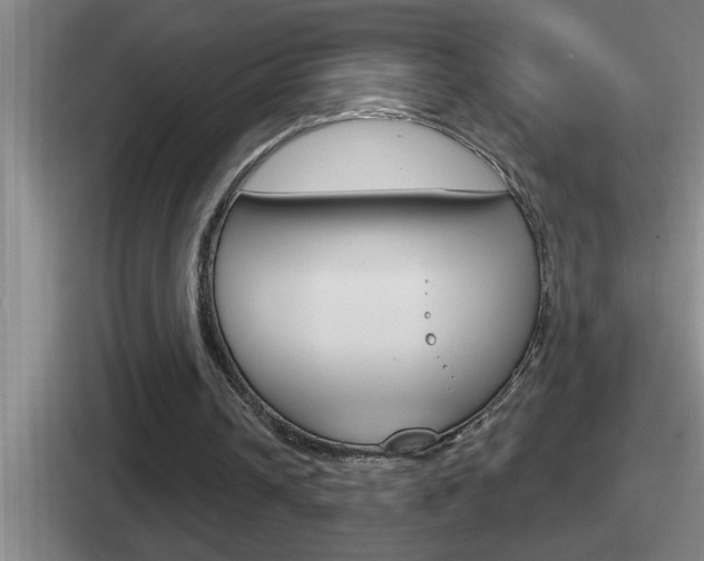 X0000112070242201007221012