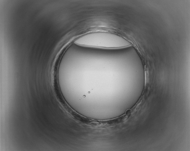 X0000112070243201007221012