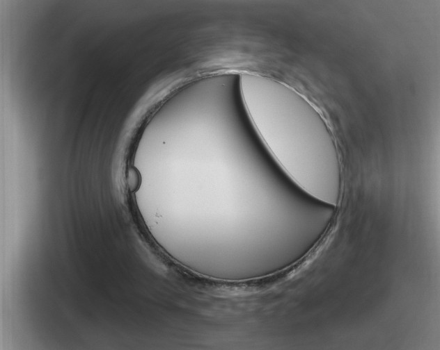 X0000112070245201007221012