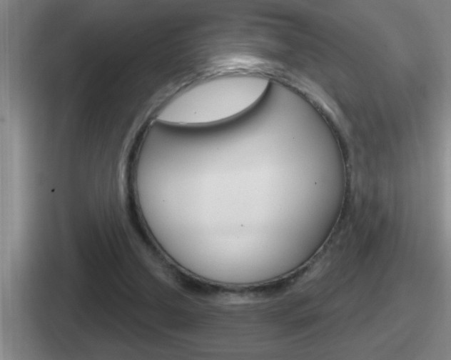 X0000112070250201007221012