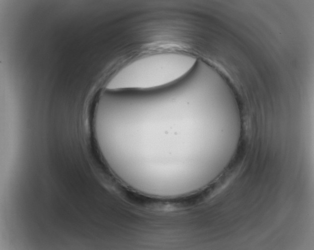 X0000112070254201007221012