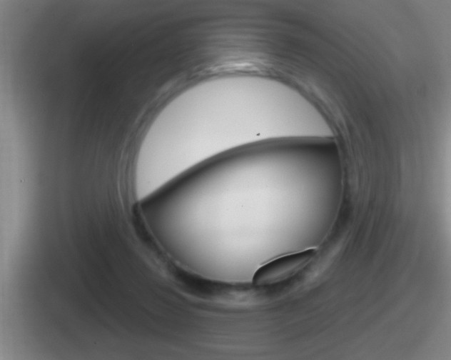X0000112070260201007221012