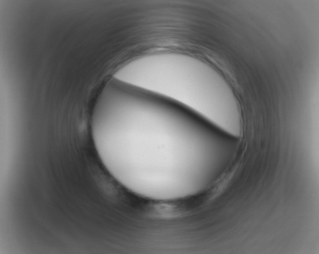 X0000112070265201007221012