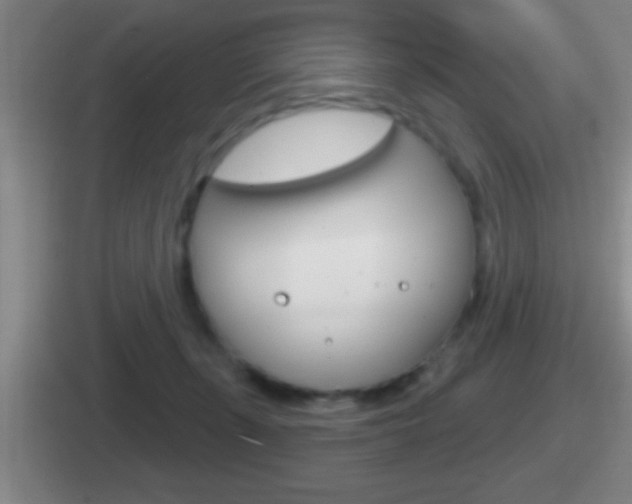 X0000112070271201007221012