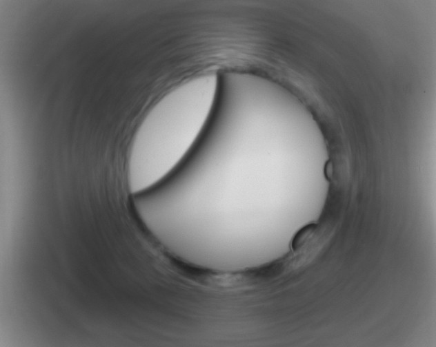 X0000112070273201007221012