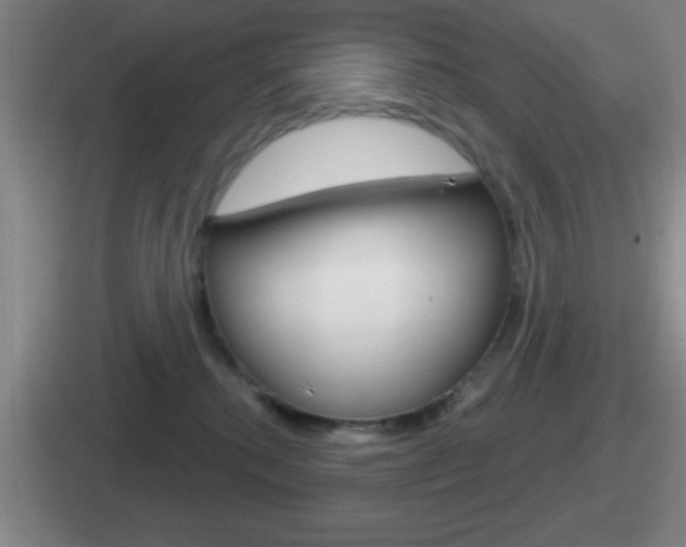 X0000112070280201007221013