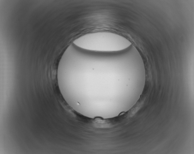 X0000112070281201007221013