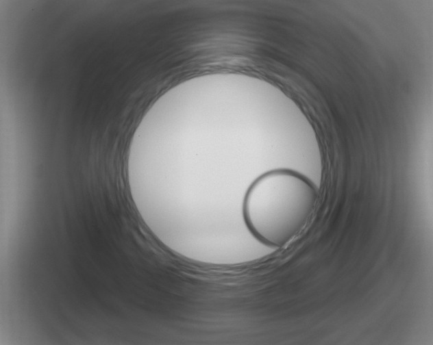 X0000112070284201007221013