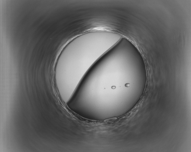 X0000112070289201007221012
