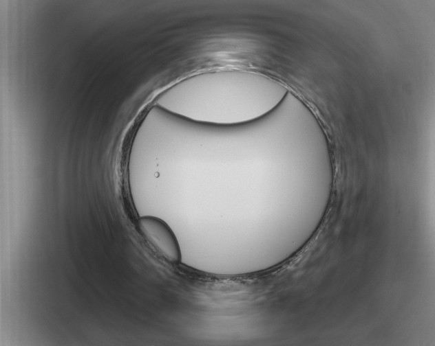 X0000112070290201007221012