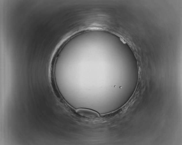 X0000112070292201007221012