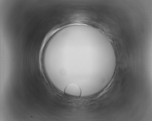 X0000112070294201007221012