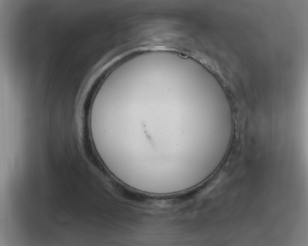 X0000112070295201007221012