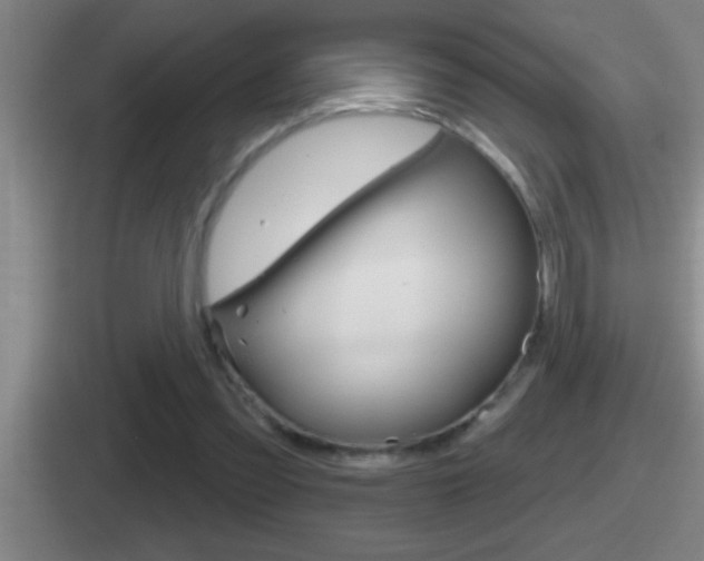 X0000112070301201007221012