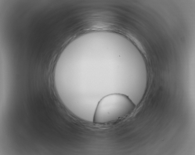 X0000112070305201007221012
