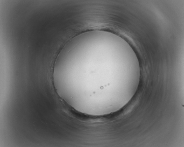 X0000112070307201007221012